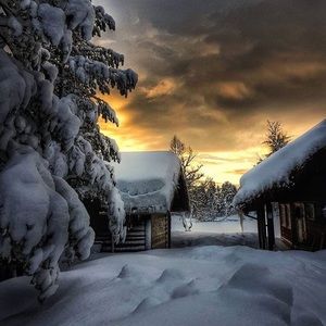 Meet your Posher, Beau